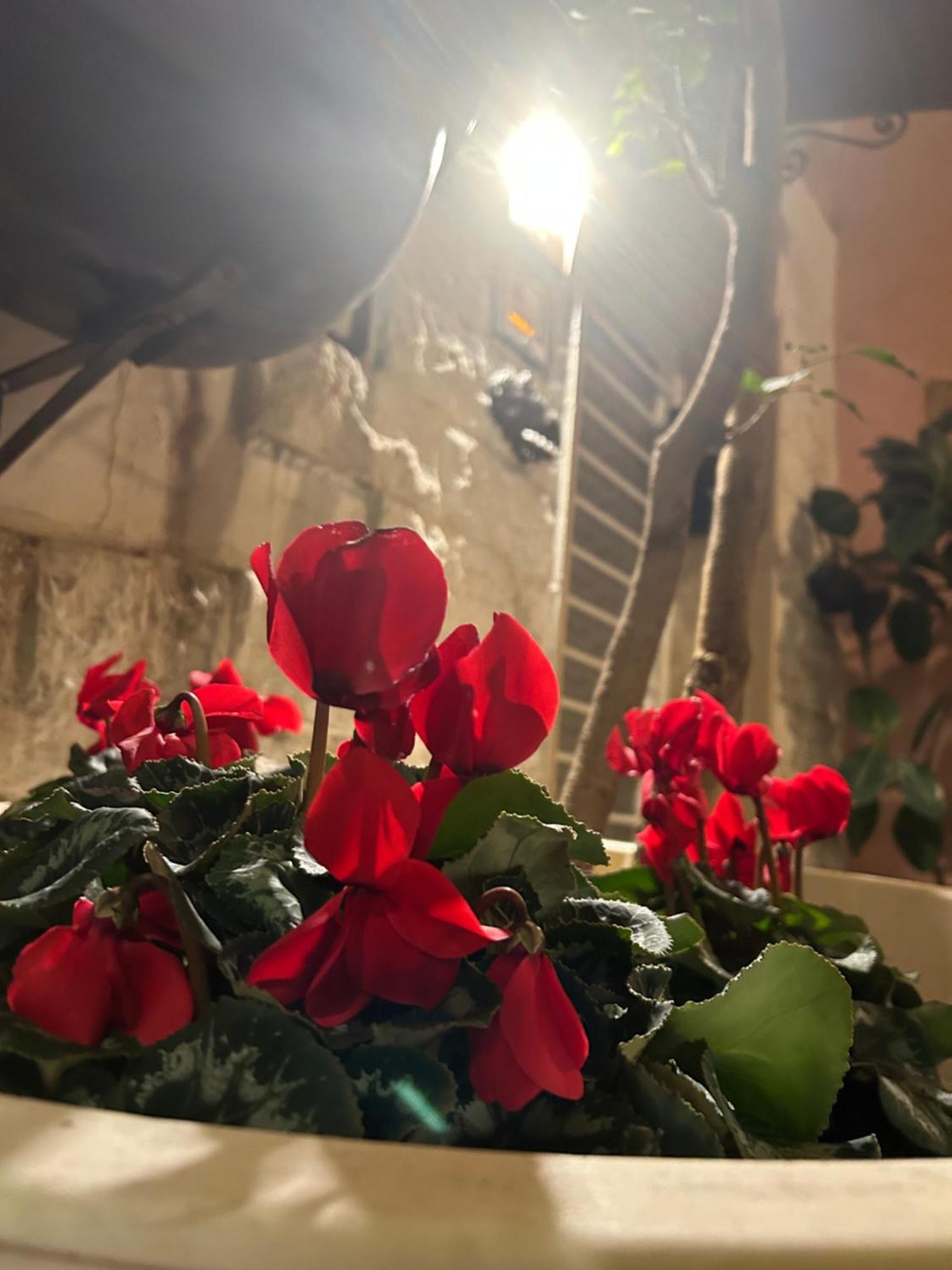 B&B Bari Vecchia R المظهر الخارجي الصورة